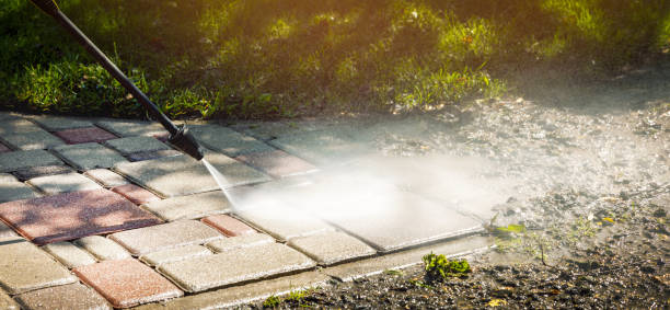Best Animal Enclosure Cleaning  in Clayton, NJ